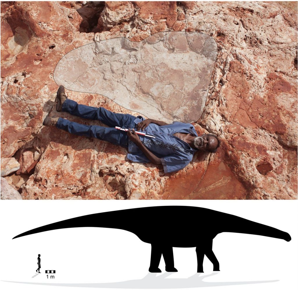 Dr Steve Salisbury - Palaeontologist - Dinosaurs - Law Boss Richard Hunter and a 1.7m sauropod track - The Andy Social Podcast