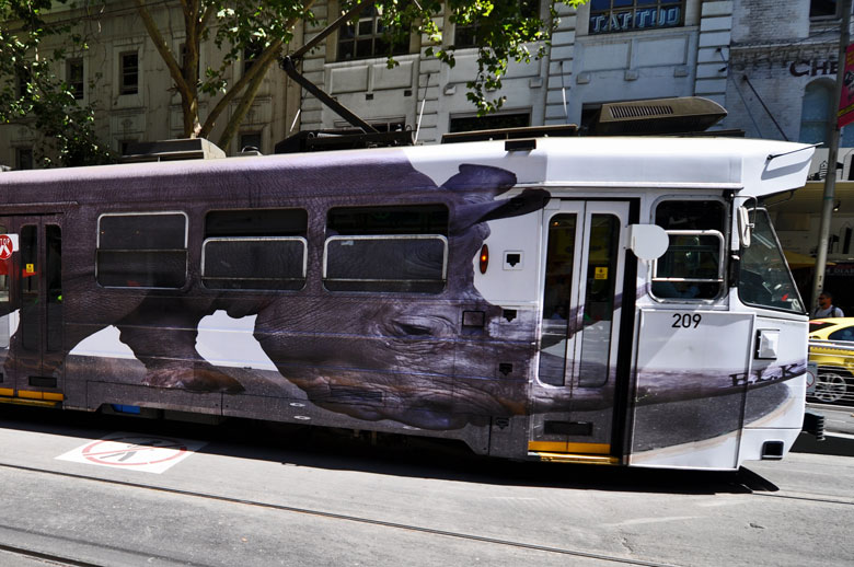The Andy Social Podcast - Luke Cornish - Rhino on Melbourne Tram